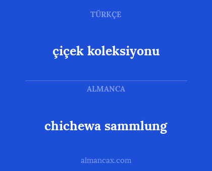 chichewa sammlung - çiçek koleksiyonu