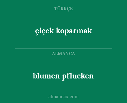 çiçek koparmak - blumen pflucken