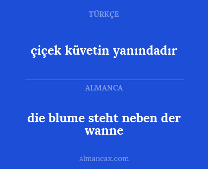 die blume steht neben der wanne - çiçek küvetin yanındadır