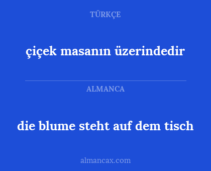 çiçek masanın üzerindedir - die blume steht auf dem tisch