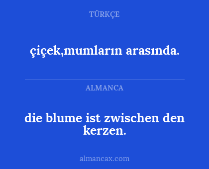 çiçek,mumların arasında. - die blume ist zwischen den kerzen.