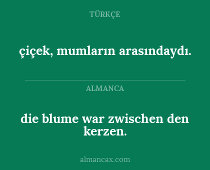çiçek, mumların arasındaydı. - die blume war zwischen den kerzen.