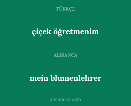 çiçek öğretmenim - mein blumenlehrer