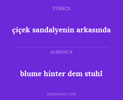 çiçek sandalyenin arkasında - blume hinter dem stuhl