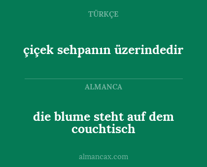 die blume steht auf dem couchtisch - çiçek sehpanın üzerindedir