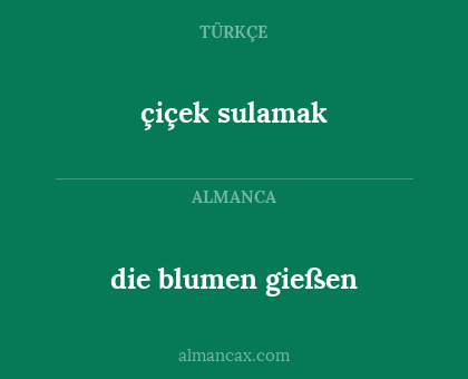 die blumen gießen - çiçek sulamak