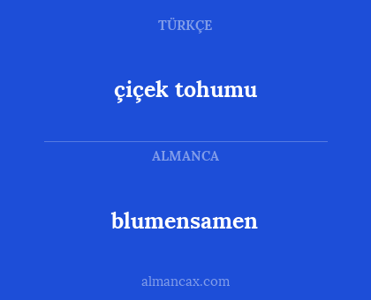 blumensamen - çiçek tohumu