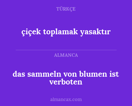 çiçek toplamak yasaktır - das sammeln von blumen ist verboten