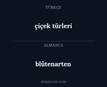 blütenarten - çiçek türleri