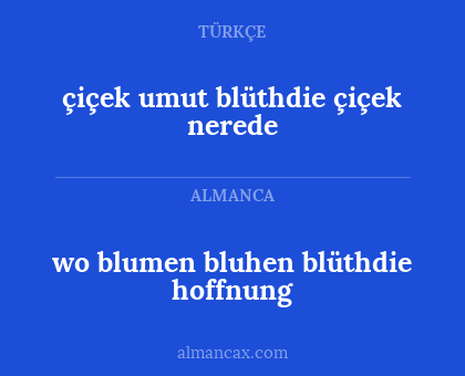 çiçek umut blüthdie çiçek nerede - wo blumen bluhen blüthdie hoffnung