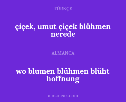 çiçek, umut çiçek blühmen nerede - wo blumen blühmen blüht hoffnung