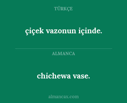 chichewa vase. - çiçek vazonun içinde.