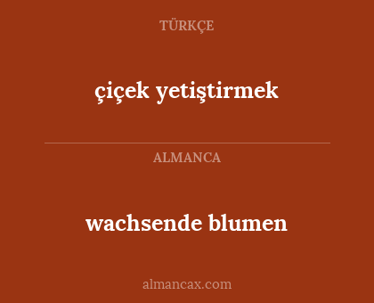 wachsende blumen - çiçek yetiştirmek
