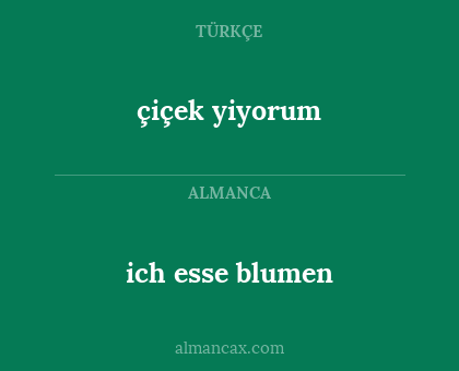 çiçek yiyorum - ich esse blumen