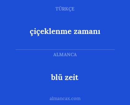 blü zeit - çiçeklenme zamanı
