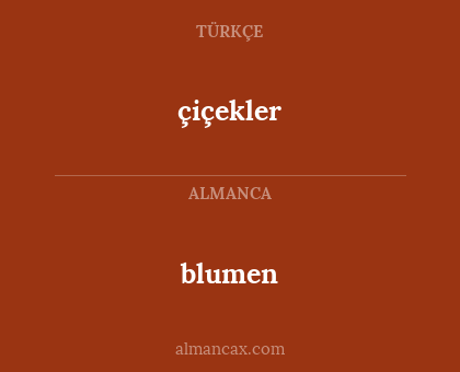 blumen - çiçekler