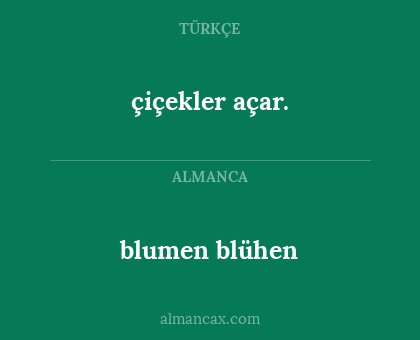 çiçekler açar. - blumen blühen