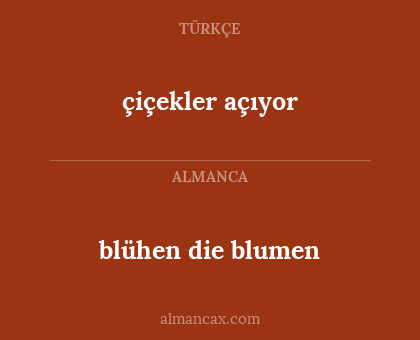 blühen die blumen - çiçekler açıyor