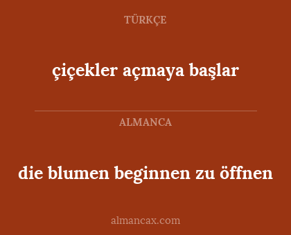 die blumen beginnen zu öffnen - çiçekler açmaya başlar
