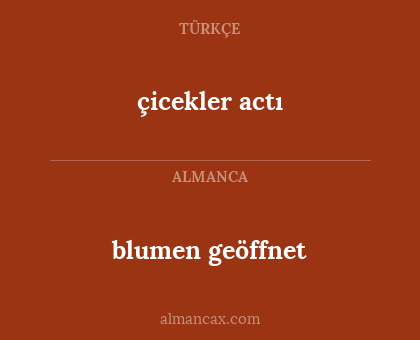 blumen geöffnet - çicekler actı