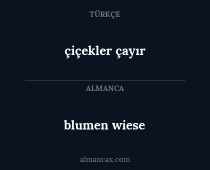 blumen wiese - çiçekler çayır