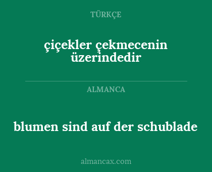 blumen sind auf der schublade - çiçekler çekmecenin üzerindedir