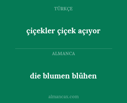 die blumen blühen - çiçekler çiçek açıyor
