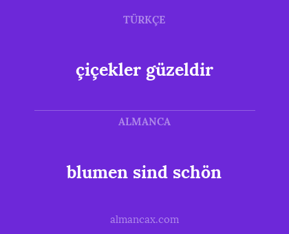 blumen sind schön - çiçekler güzeldir