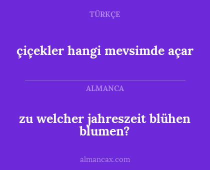 çiçekler hangi mevsimde açar - zu welcher jahreszeit blühen blumen?