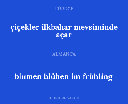 blumen blühen im frühling - çiçekler ilkbahar mevsiminde açar