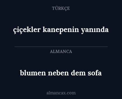 blumen neben dem sofa - çiçekler kanepenin yanında