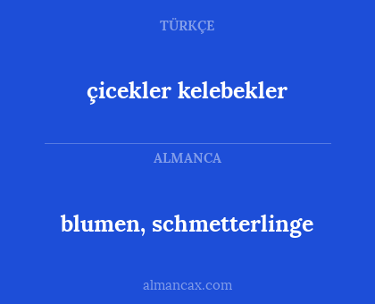 çicekler kelebekler - blumen, schmetterlinge