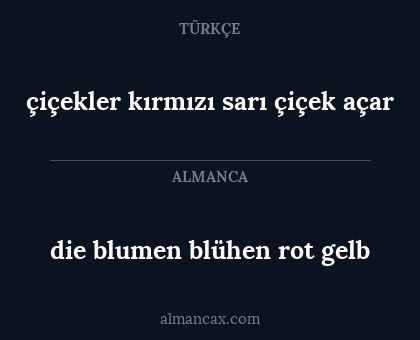 çiçekler kırmızı sarı çiçek açar - die blumen blühen rot gelb