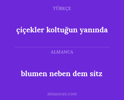 blumen neben dem sitz - çiçekler koltuğun yanında