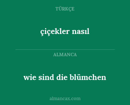 çiçekler nasıl - wie sind die blümchen