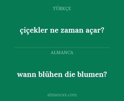 çiçekler ne zaman açar? - wann blühen die blumen?