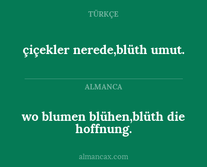 wo blumen blühen,blüth die hoffnung. - çiçekler nerede,blüth umut.