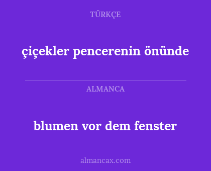 çiçekler pencerenin önünde - blumen vor dem fenster