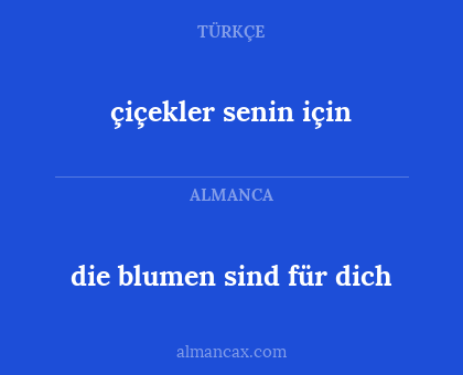 die blumen sind für dich - çiçekler senin için