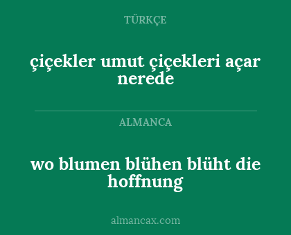 wo blumen blühen blüht die hoffnung - çiçekler umut çiçekleri açar nerede