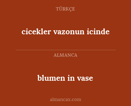blumen in vase - cicekler vazonun icinde