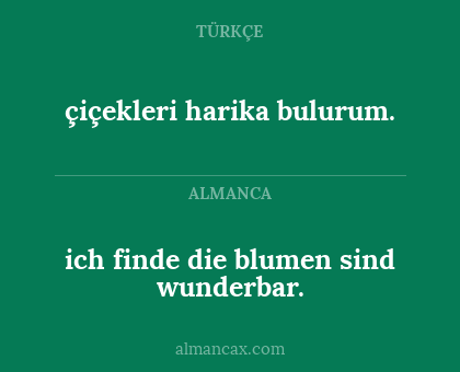 ich finde die blumen sind wunderbar. - çiçekleri harika bulurum.