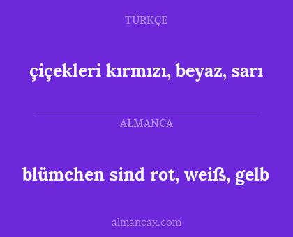 blümchen sind rot, weiß, gelb - çiçekleri kırmızı, beyaz, sarı