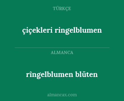 rîngelblumen blüten - çiçekleri ringelblumen