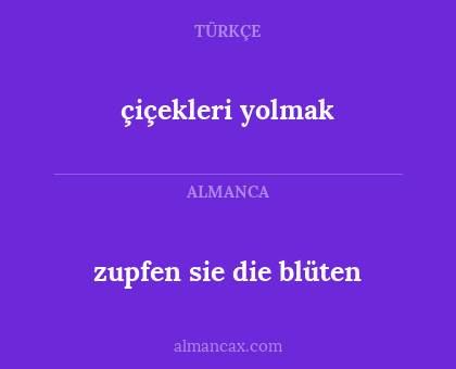 çiçekleri yolmak - zupfen sie die blüten