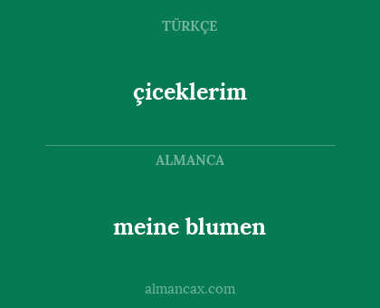 çiceklerim - meine blumen