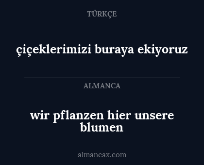 çiçeklerimizi buraya ekiyoruz - wir pflanzen hier unsere blumen