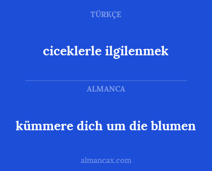 ciceklerle ilgilenmek - kümmere dich um die blumen