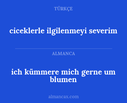 ciceklerle ilgilenmeyi severim - ich kümmere mich gerne um blumen