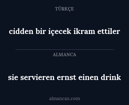 sie servieren ernst einen drink - cidden bir içecek ikram ettiler
